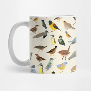 Great collection of birds illustrations Mug